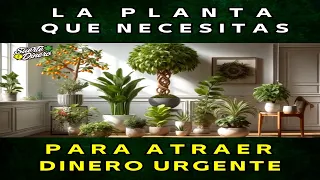 La Planta que Necesitas, para Atraer Dinero Urgente