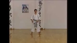 Gojushiho Dai - Efthimios Karamitsos - Karate - Kata - Shotokan