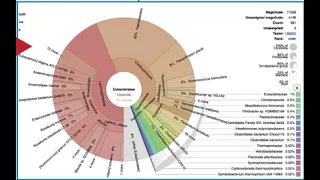 Taxonomic Classification Service