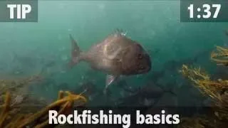 ROCK FISHING BASICS