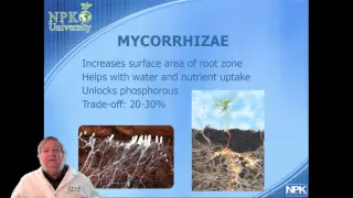 NPK-University Soil Microbiology With Harley Smith