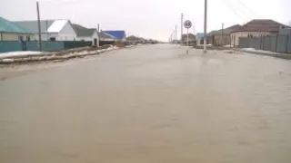 Дома и дворы затопило талыми водами в селе Шубаркудук