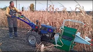 Кукурузоуборочный комбайн для мотоблока в действии - corn tiller mini harvester in action