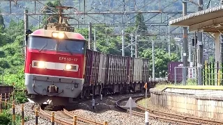 JR貨物 EF510-17 貨物列車 (4076レ レッドサンダー) 北陸本線 新疋田駅 通過