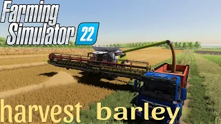 Farming Simulator 22/ жатва ячменю / карта Кошмак / CLAAS LEXION 6900 / MAN  T6S 18.500