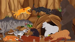 King Kong, Giganotosaurus, Lion, Tiger, White Tiger, Gorilla, Albino Gorilla, Bear - DC2 Animation