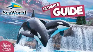 SeaWorld San Diego Tour 2022 | All Exhibits, Shows, Rides & More