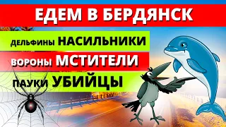 Зимний Бердянск 2021. Страшные истории. Как развлечься в дороге по дороге в Бердянск