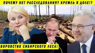 ДАВЫДЕНКО ПОД УДАРОМ! ПУТИН ИГНОРИТ МАТЕРИАЛ КАРАУЛОВА! ПОБЕДА ГУБЕРНАТОРА УССА КРАСНОЯРСК ЛЕС