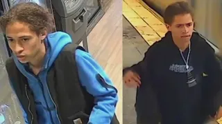 2 suspects wanted in wallet robbery pattern across NYC: NYPD