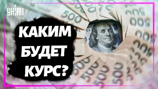 Доллар по 29: что будет с гривной дальше?