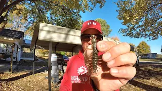 THIS Fishing Lure Is An ABSOLUTE BEAST!!! Catch MORE Fish With This Hack!