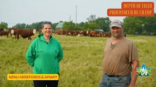 Kenli Herefords & Apiary - Depth of Field | Profondeur de champ