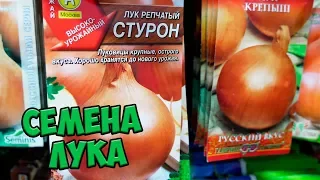 Семена лука 🌱 Какой лук посадить на участке? 🌱 Обзор hitsadTV