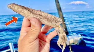 Fishing BAITS 100’ DEEP in the GULF! for my DINNER [Catch, Clean, and Cook]
