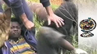 Police Dogs Brutally Attack Innocent Civilians in South Africa (2000)