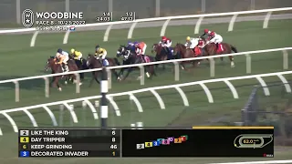 Woodbine, Tbred, October 23, 2022 Race 8