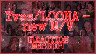 [MV] 이달의 소녀/이브 (LOONA/Yves) new – REACTION MASHUP