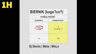 BIERNIK (kogo? co?) wersja 1H