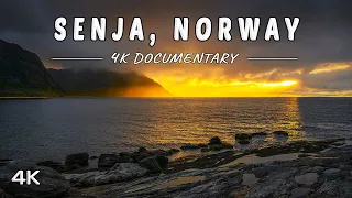 Senja Island, Norway - 4K Travel Documentary