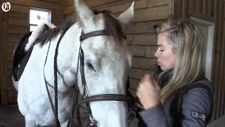 Away from newsroom, Morgan Fogarty finds happiness on horse farm