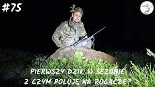 Z Pamiętnika Myśliwego #75 Pierwszy dzik w sezonie. Z czym poluję na rogacze? Wildboar Hunting 2024