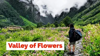 Valley of Flowers Trek | Uttarakhand | Heaven on Earth