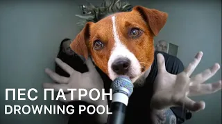 ПЕС ПАТРОН Х DROWNING POOL (KARTA SVITU cover, bodies version)