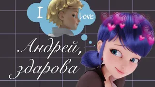 Клип Леди Баг и Кот Нуар🐞| Андрей, здарова👋💗