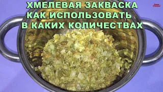 ХМЕЛЕВАЯ ЗАКВАСКА. Сколько добавлять и как использовать. Подробный рецепт.