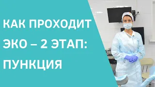 Как проходит ЭКО – 2 этап: пункция