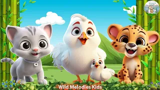 Cute Little Animals: Cat, Leopard, Chicken, Hen - Animal sounds