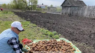 ПЕРВЫЕ САЖЕНЦЫ / ПОСАДКА КАРТОФЕЛЯ/ ТЯЖЕЛАЯ ТЕХНИКА НА УЧАСТКЕ