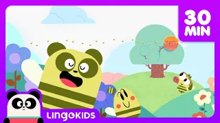 BEES DINOSAURS AND MORE FUN CARTOONS 🐝🦖 Science for Kids | Lingokids