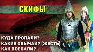 Как жили скифы?