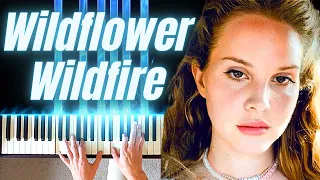 Wildflower Wildfire by Lana Del Rey - Piano Cover