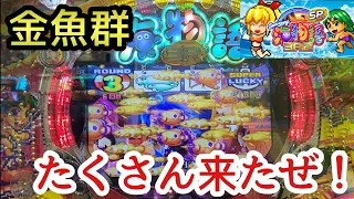 海物語3R2スペシャル 金魚群 たくさん来たぜ 甘デジ 99 3r2sp 金魚群 プレミア ひっそり 告知 100% SPループ 初代モード スペシャルループ プレミア 保留連 Vストック レインボー