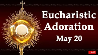Powerful Eucharistic Adoration I Monday May 20 2024 I 3.00 Pm