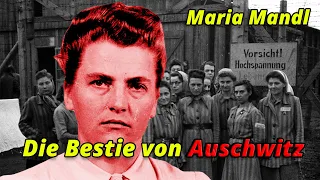 Die GRAUSAMEN VERBRECHEN der Bestie von Auschwitz | Maria Mandl (Dokumentation / True Crime)