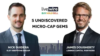 Buy Hold Sell: 5 undiscovered micro-cap gems