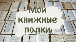 Обзор на мои книжные полки 📚📚📚 ₊˚⊹♡