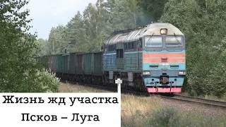 Поезда на перегоне Торошино – Молоди. 2ТЭ116У-0054 внёс разнообразие в дизайн тепловозов РЖД