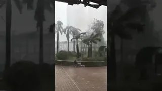 20180916 Typhoon Mangkhut Taifun Shenzhen(3)