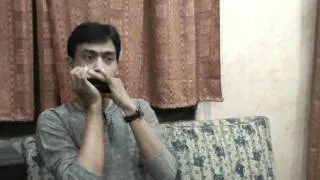 Yeh Lal Rang Kab Mujhe :$: Harmonica by - Ujjal Dutta