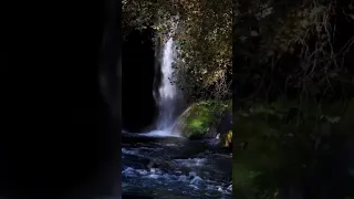 Музыка, лечащая сердце и сосуды🌿 Красивая мелодия до слёз🌿 Красивая музыка для души Сергей Чекалин#8