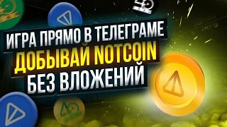 NOTCOIN - ПОЛУЧАЕМ АИРДРОП БЕЗ ВЛОЖЕНИЙ | ПОШАГОВАЯ ИНСТРУКЦИЯ  | Лучший Аирдроп крипты