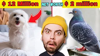 The Most "Stupid" Things Billionaires Spend Their Money On !