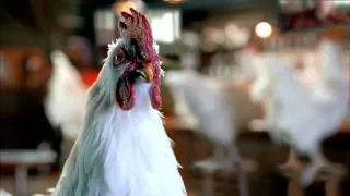 [HD] Exclusive Denny's Chicken Warning 2010 Super Bowl 44 XLIV Commercial Ad
