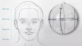 How to draw head - Front view using Andrew Loomis method