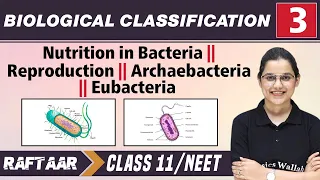 Biological Classification 03 | Nutrition in Bacteria l Reproduction l Class 11/NEET | RAFTAAR